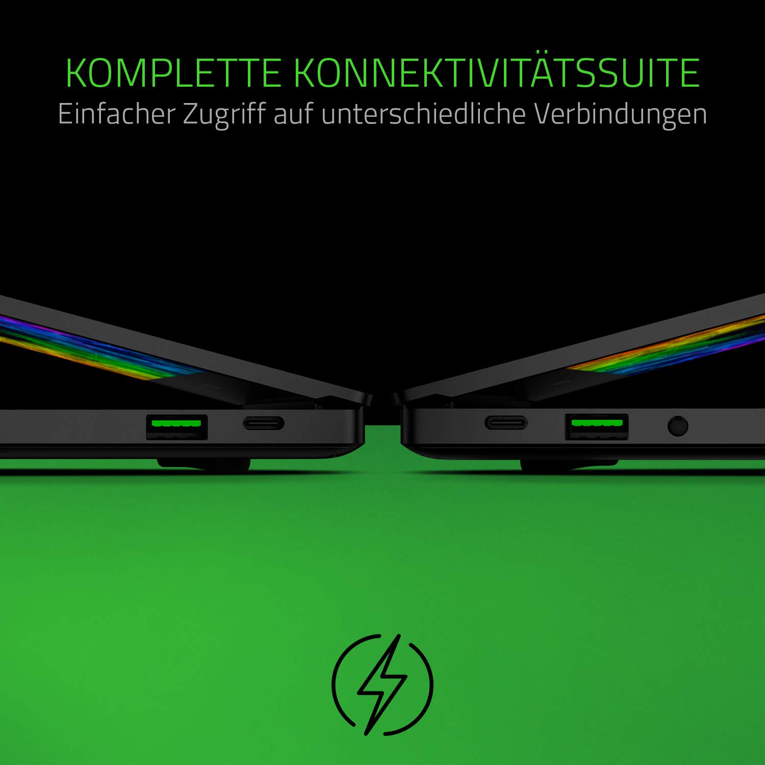 Razer Blade Stealth 13 (2019) Anschlüsse